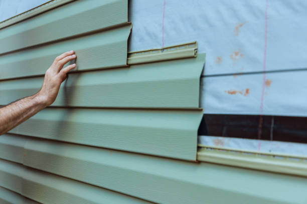 Best Siding Painting and Refinishing  in Mccamey, TX